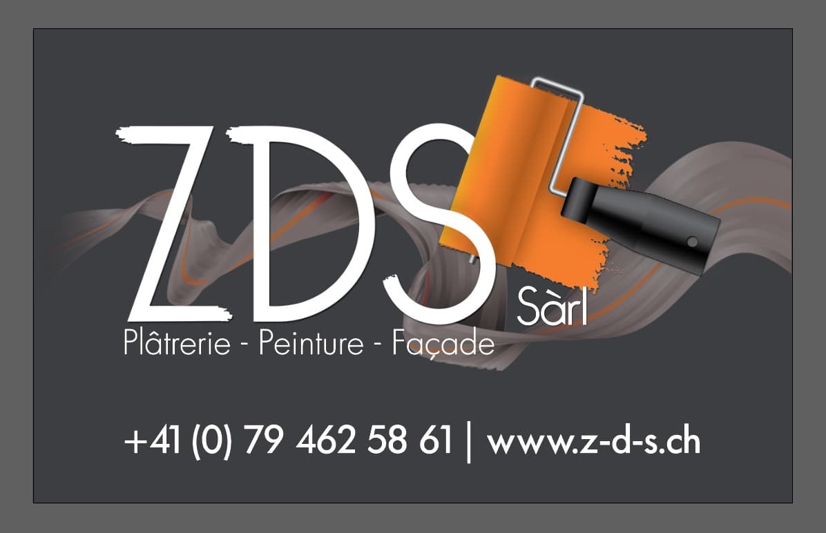 Logo ZDS Dos Santos Zechiel